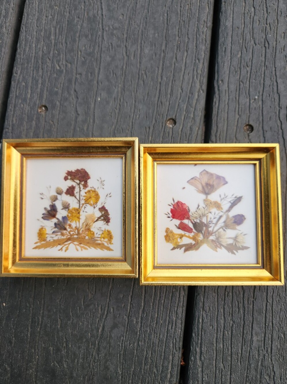 Pressed Flower Wall Art Set in Gold Frame - Red, Yellow, Purple Floral - Picture 4 of 7